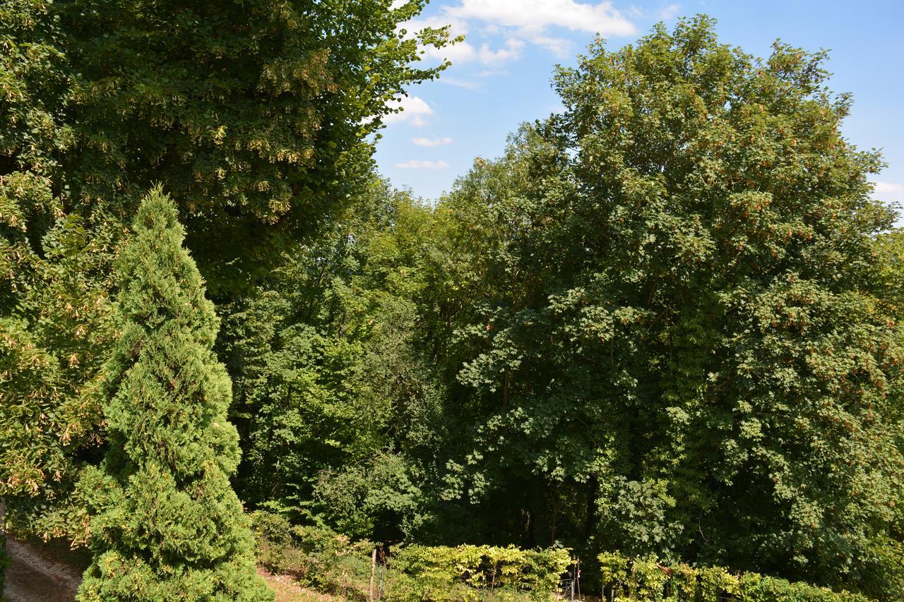 Hermitage St Roch Arc-en-Barrois Esterno foto